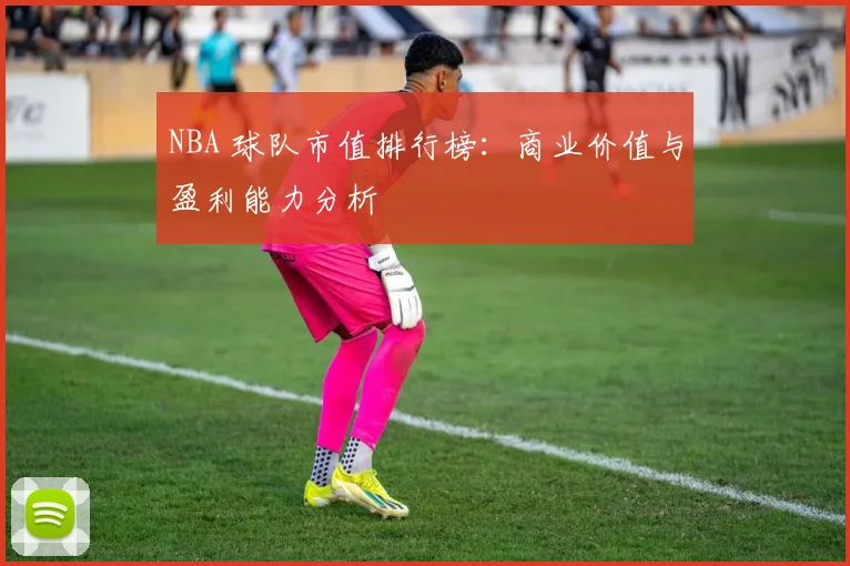 NBA 球队市值排行榜:商业价值与盈利能力分析